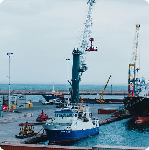 Shipping & Logistics